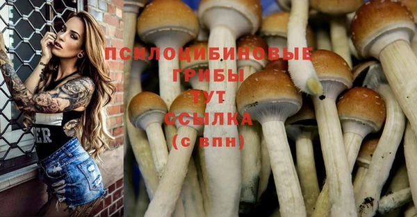 ешки Баксан
