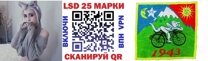 Купить закладки  Дубовка  Наркотические марки 1500мкг 