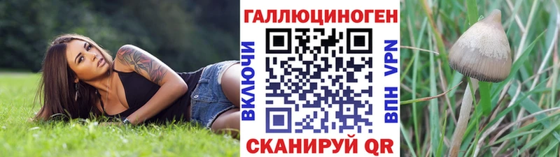 Галлюциногенные грибы GOLDEN TEACHER  Купить  Дубовка 